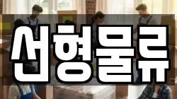 선형물류
