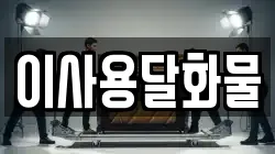 이사용달화물