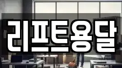 리프트용달