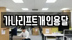 가나리프트개인용달
