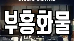 부흥화물
