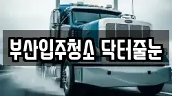 부산입주청소 닥터줄눈