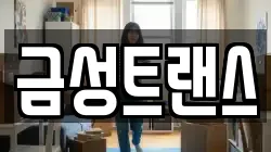 금성트랜스