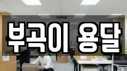 부곡이 용달