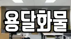 용달화물
