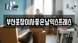 부산포장이사좋은날익스프레스