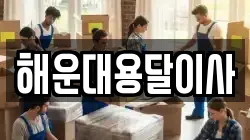 해운대용달이사