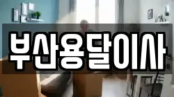 부산용달이사