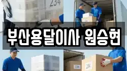 부산용달이사 원승현