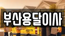 부산용달이사
