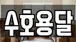 수호용달