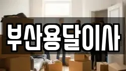 부산용달이사