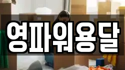 영파워용달