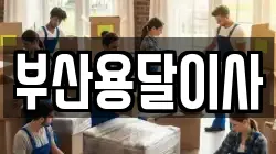 부산광역시 남구 용호동 이사,포장이사,반포장이사,원룸이사,사무실이사,용달이사,전국이사,보관이사