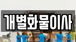 개별화물이사
