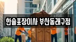 한솔포장이사 부산동래구점