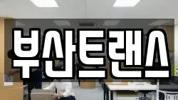 부산트랜스