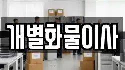 개별화물이사