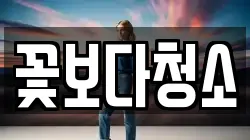 꽃보다청소
