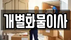 개별화물이사