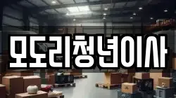 모도리청년이사