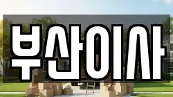 부산이사
