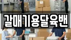 갈매기용달육밴
