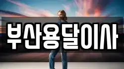부산용달이사