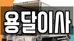 용달이사