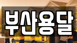 부산용달
