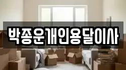 박종운개인용달이사