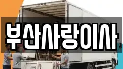 부산사랑이사