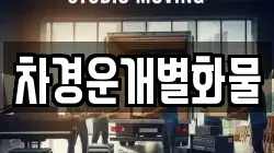 차경운개별화물