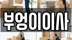 부엉이이사
