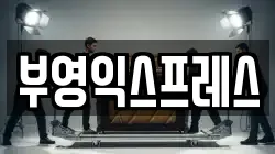 부산광역시 사하구 다대동 이사,포장이사,반포장이사,원룸이사,사무실이사,용달이사,전국이사,보관이사