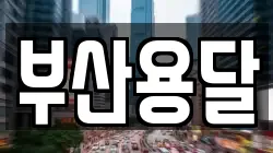 부산용달