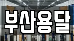 부산용달