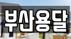 부산용달