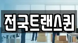 전국트랜스퀸