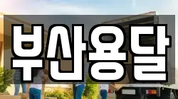 부산용달