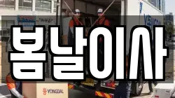 부산광역시 서구 남부민동 이사,포장이사,반포장이사,원룸이사,사무실이사,용달이사,전국이사,보관이사