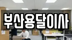 부산용달이사
