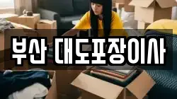 부산광역시 수영구 망미동 이사,포장이사,반포장이사,원룸이사,사무실이사,용달이사,전국이사,보관이사