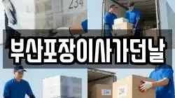 부산포장이사가던날