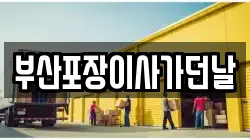 부산포장이사가던날