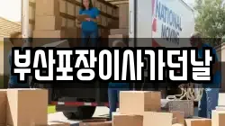 부산포장이사가던날