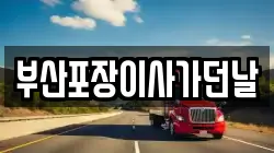 부산포장이사가던날