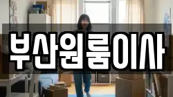 부산원룸이사