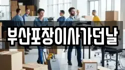 부산포장이사가던날