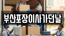 부산포장이사가던날